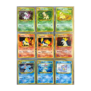 Japanese Neo 1 Premium File (3)